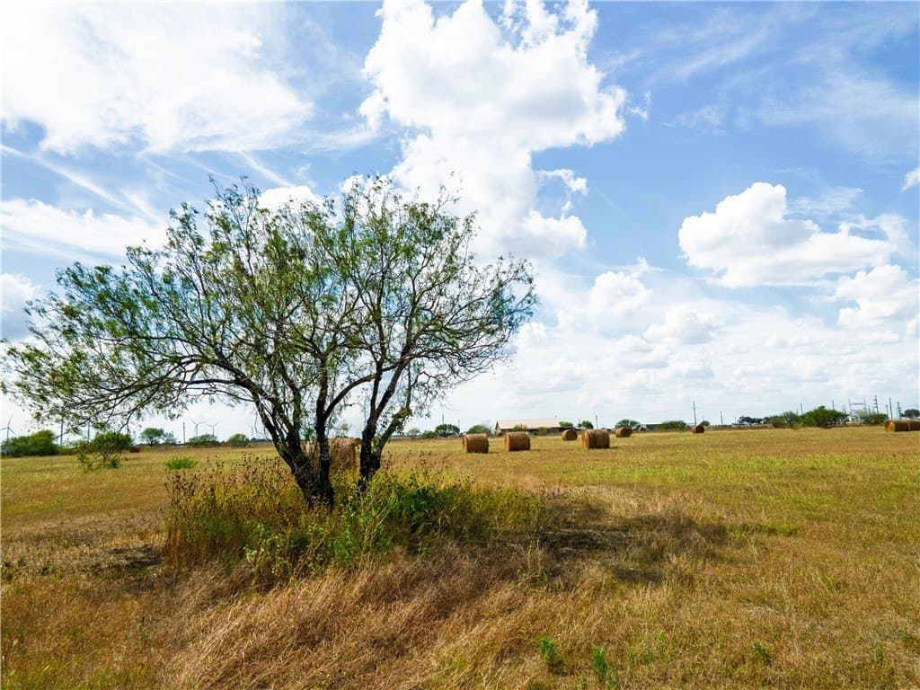 13.03 acres in San Patricio County - photo 21