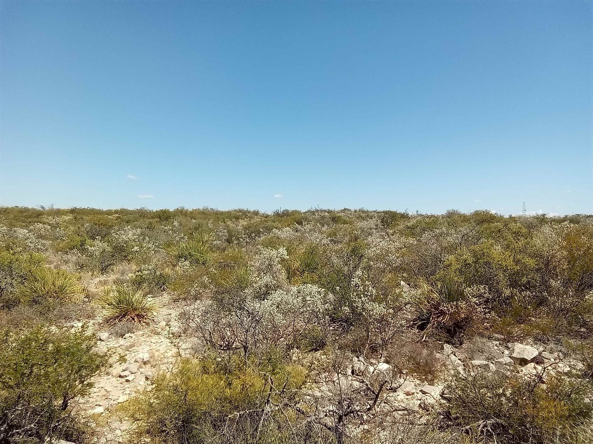 5.2 acres in Val Verde County gallery image 2