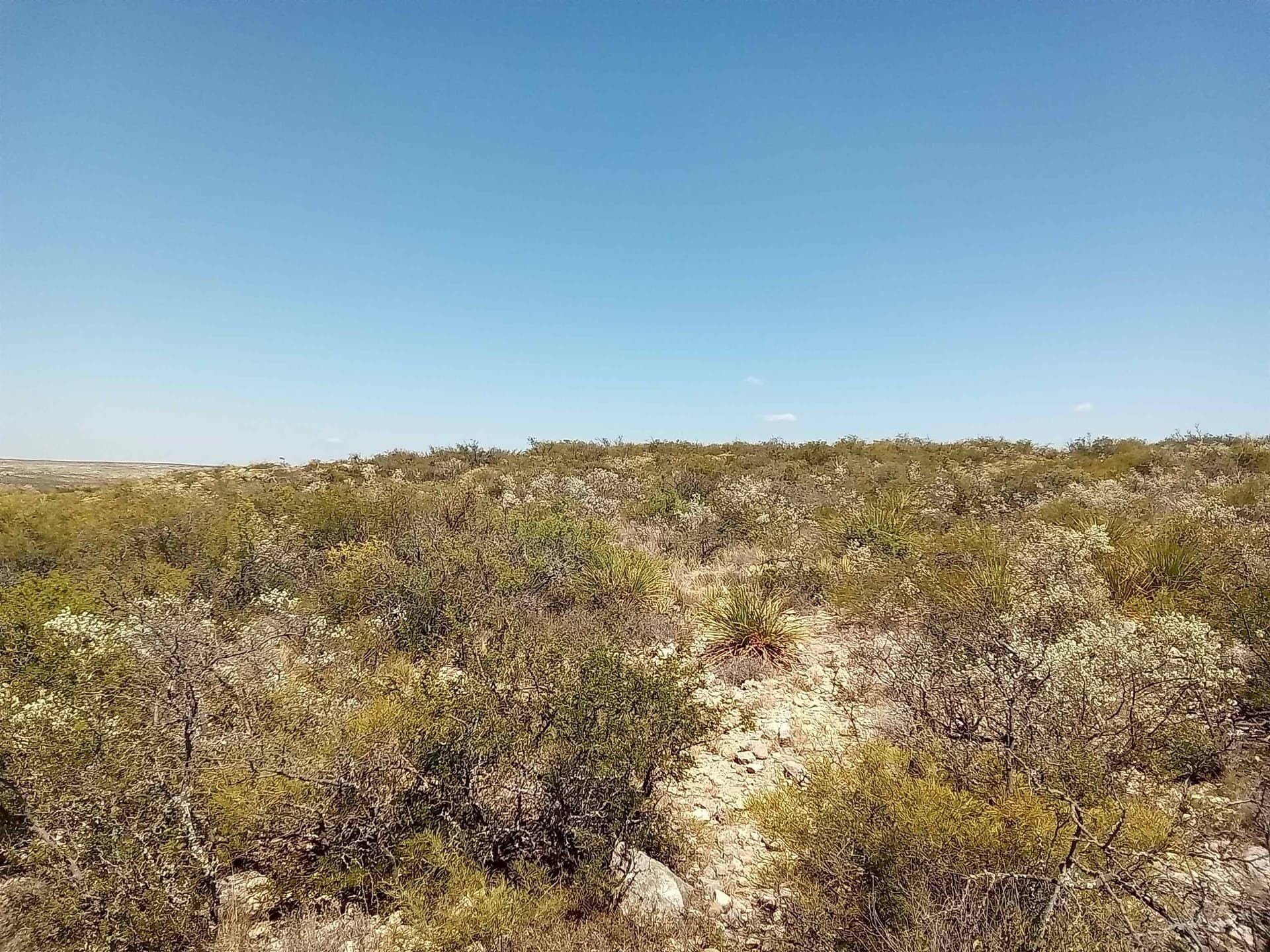 5.2 acres in Val Verde County gallery image 4