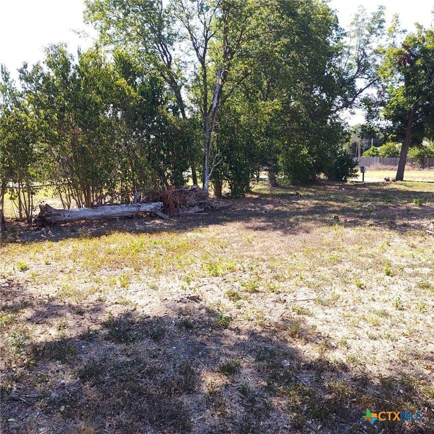 0.14 acres in Bell County - photo 3