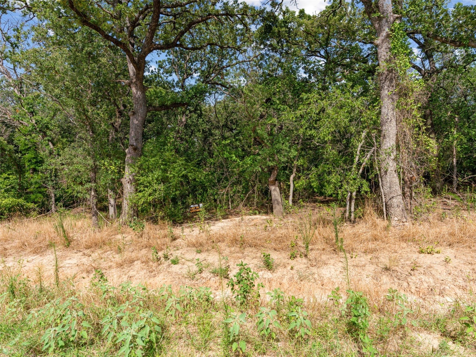 2 acres in Parker County - photo 6