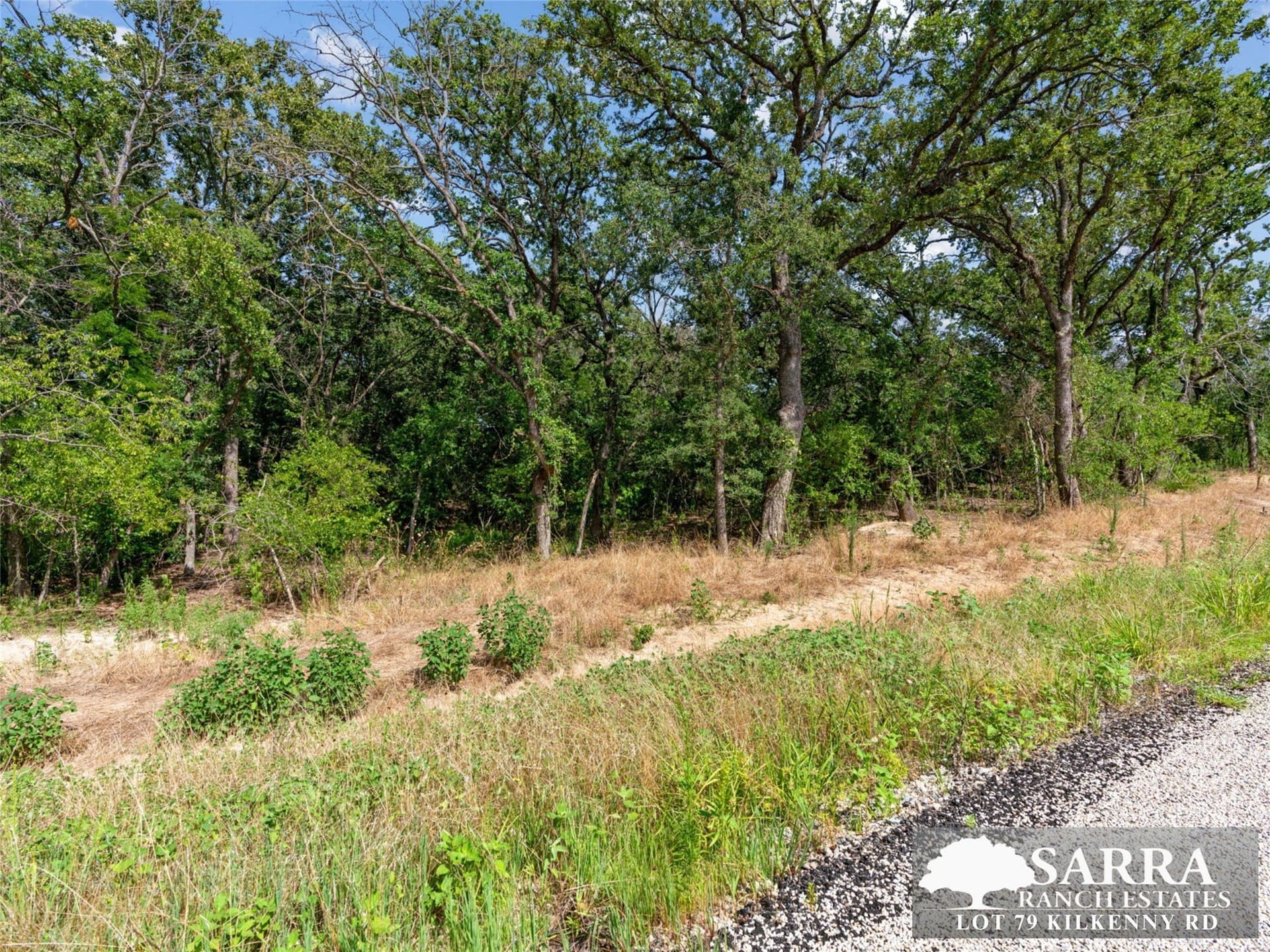2 acres in Parker County - photo 4