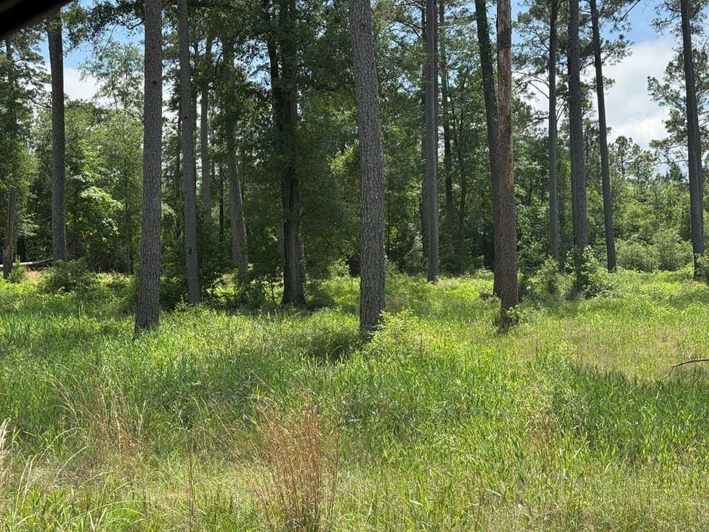 1.01 acres in Texas County - photo 10