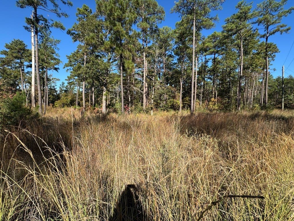1.01 acres in Texas County - photo 12