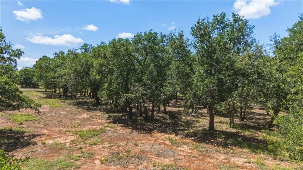 10 acres in Brazos County - photo 38