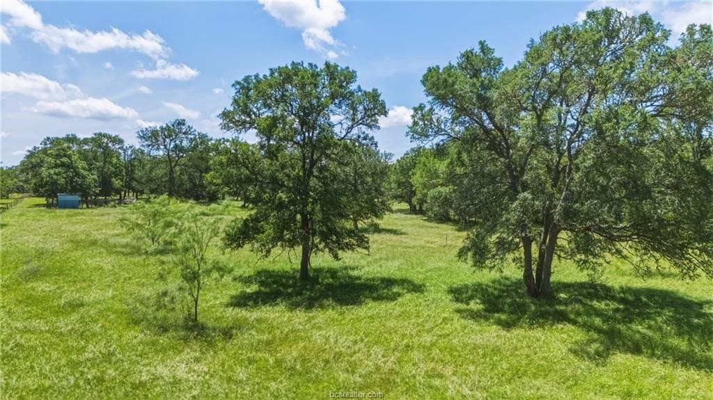 10 acres in Brazos County - photo 37