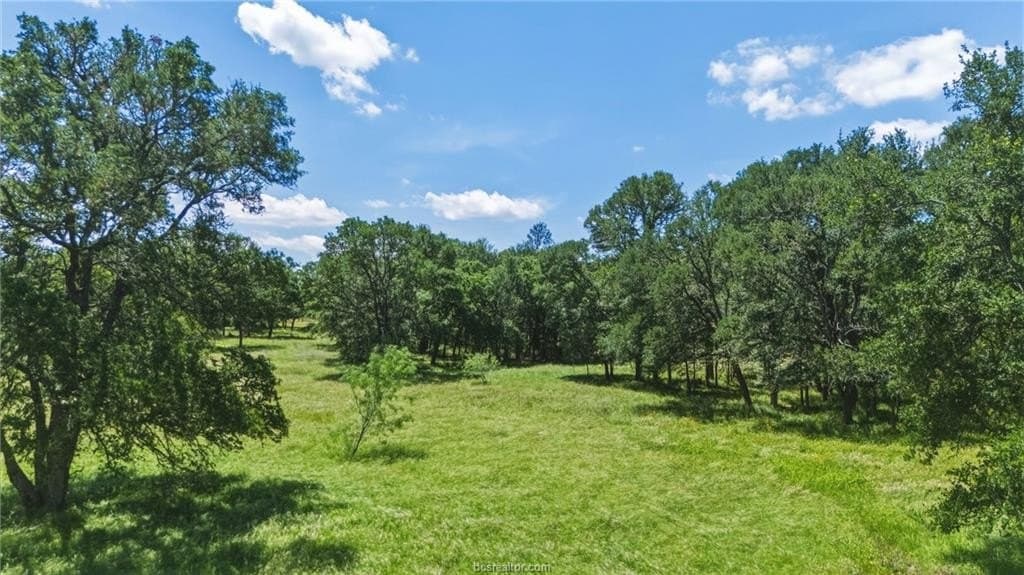 10 acres in Brazos County - photo 39