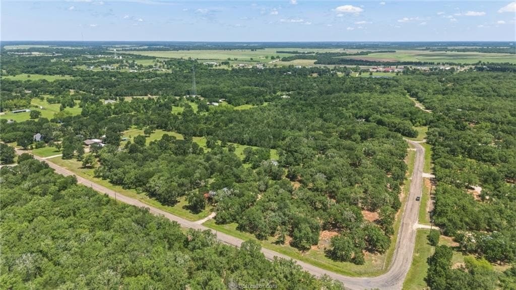 10 acres in Brazos County - photo 43