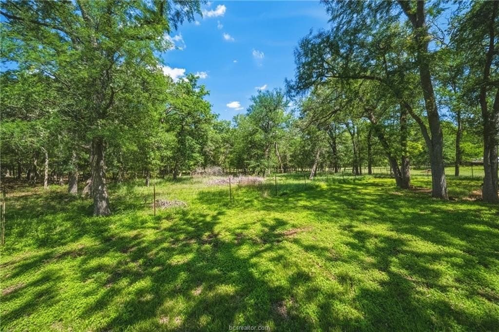 10 acres in Brazos County - photo 36