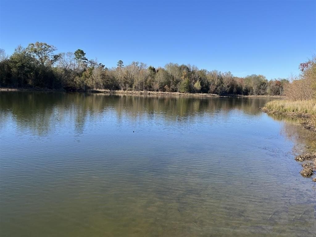 10 acres in Wood County featured view