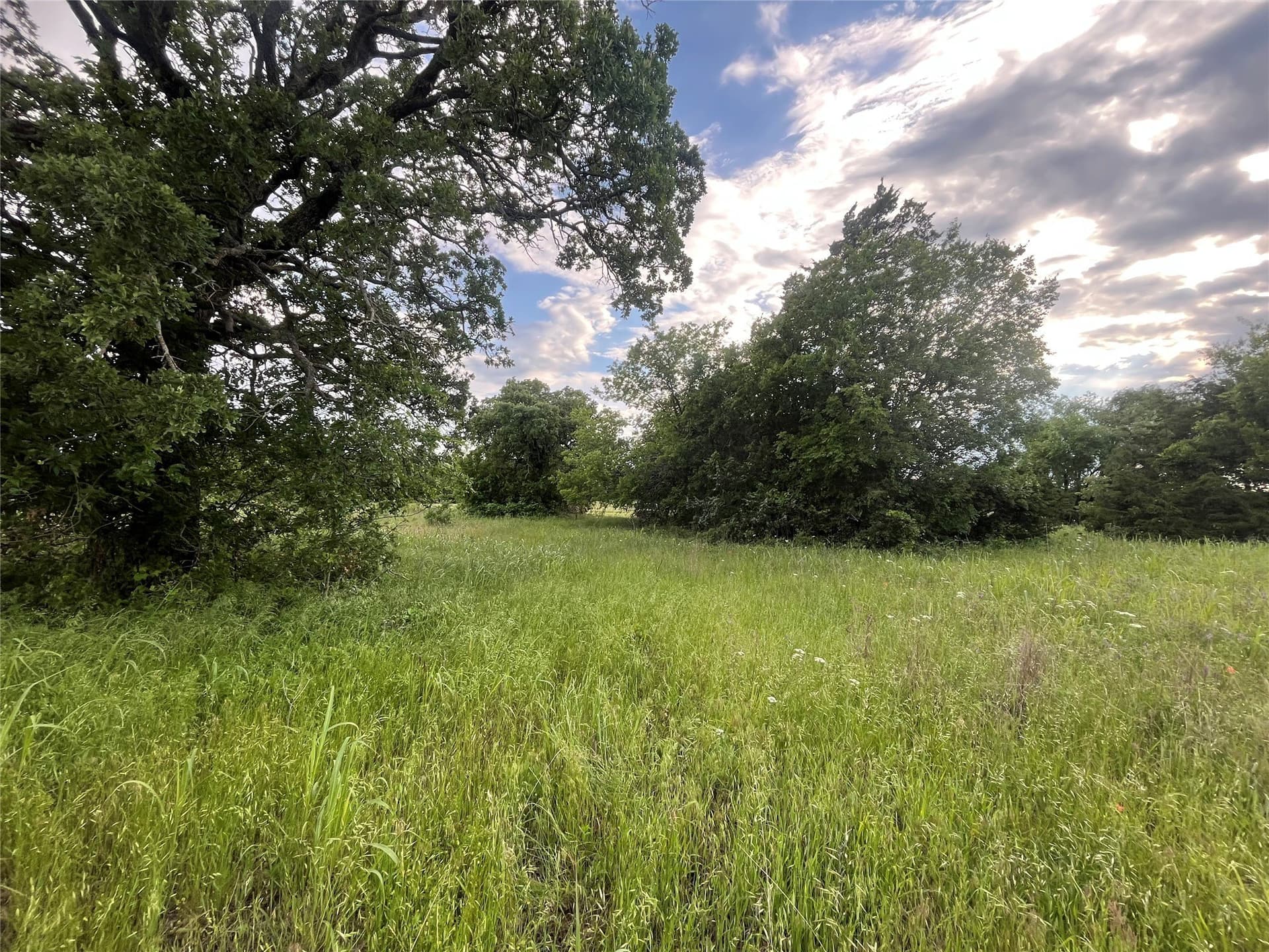 24.2 acres in Montague County gallery image 4