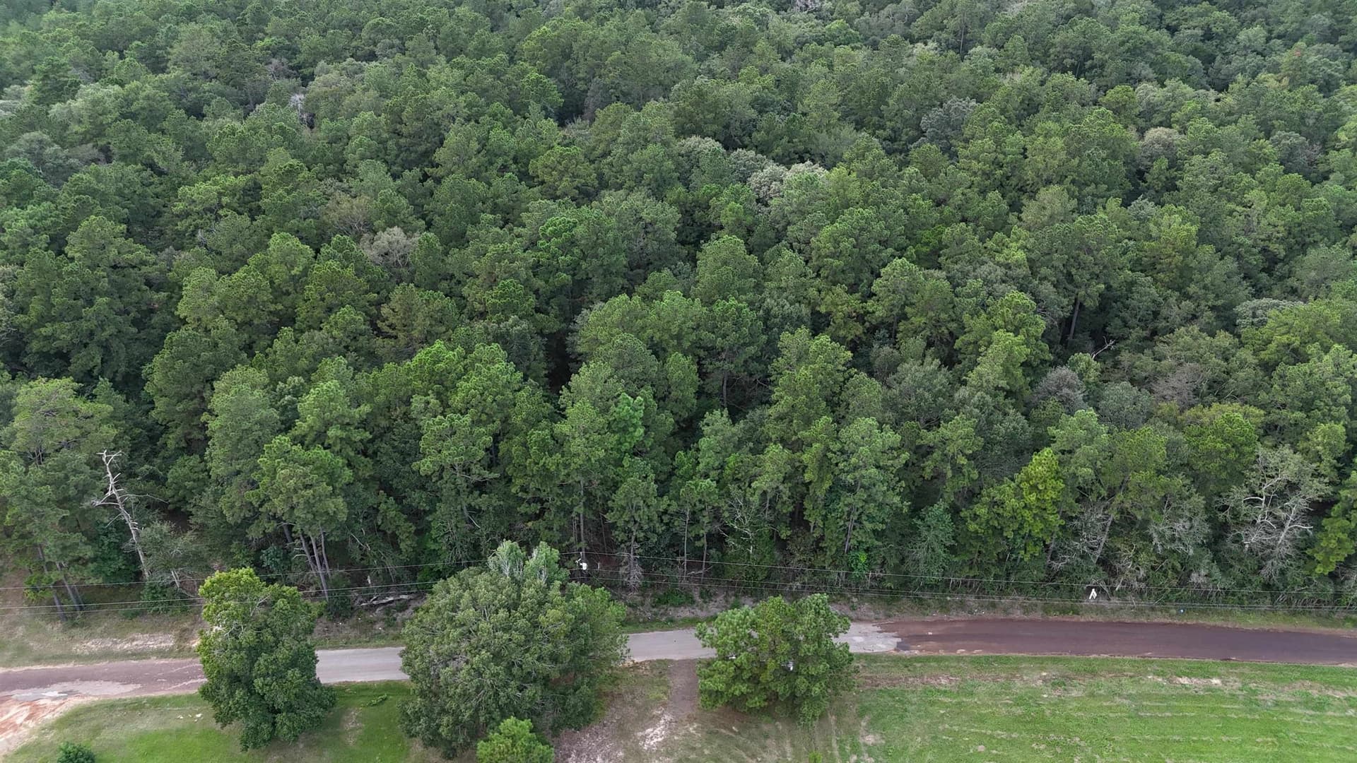 19.01 acres in Tyler County