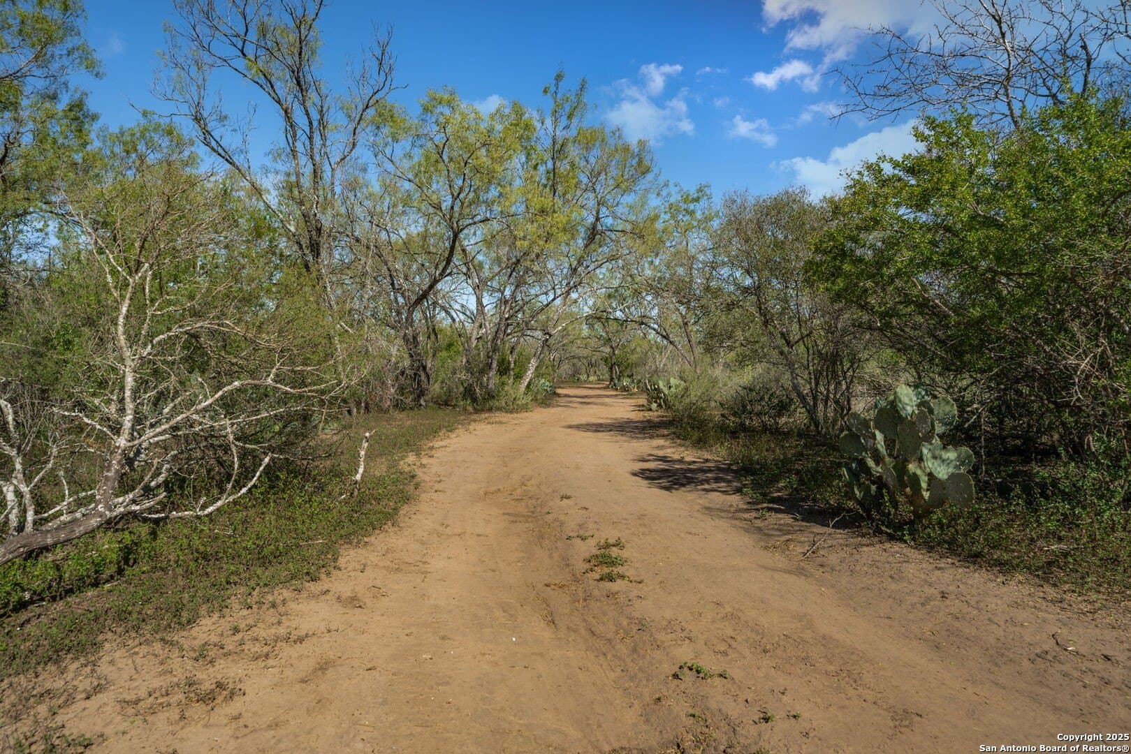 132.7 acres in Bexar County - photo 39