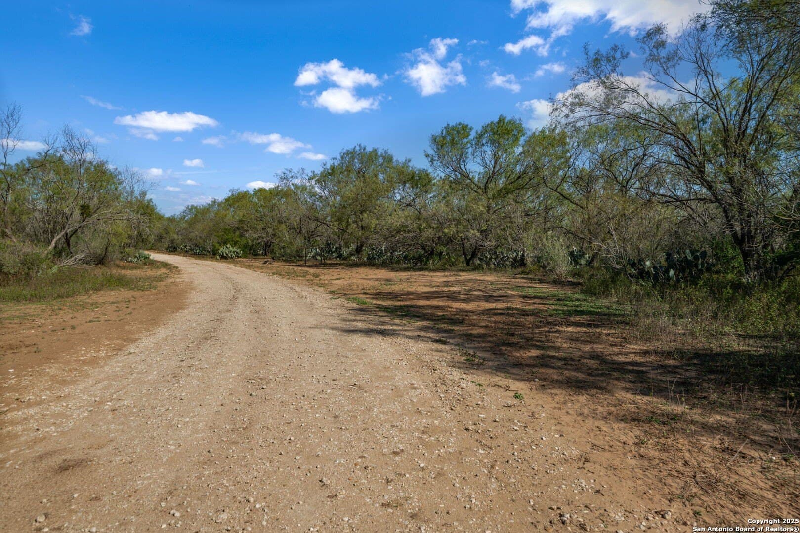 132.7 acres in Bexar County - photo 42