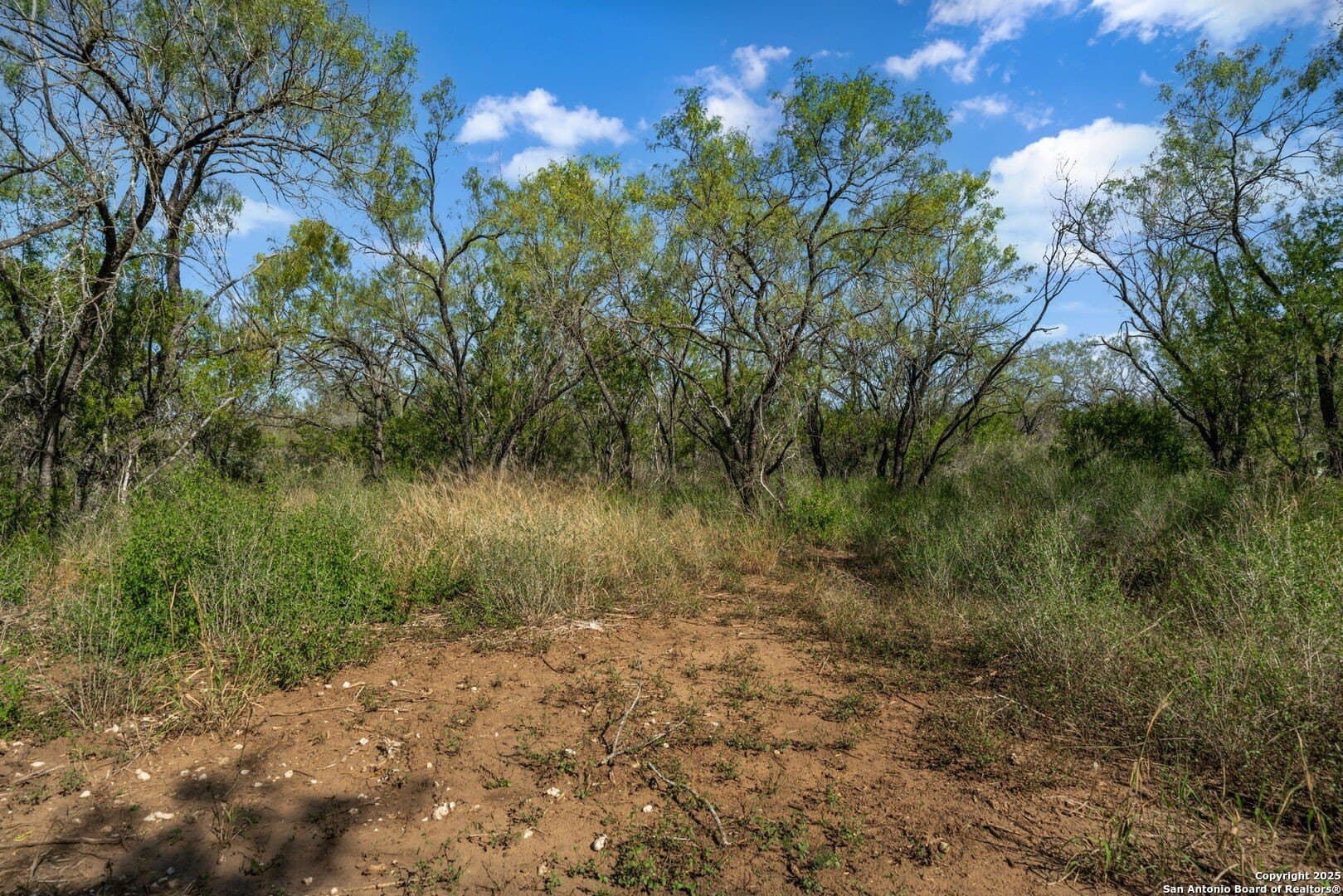 132.7 acres in Bexar County - photo 32
