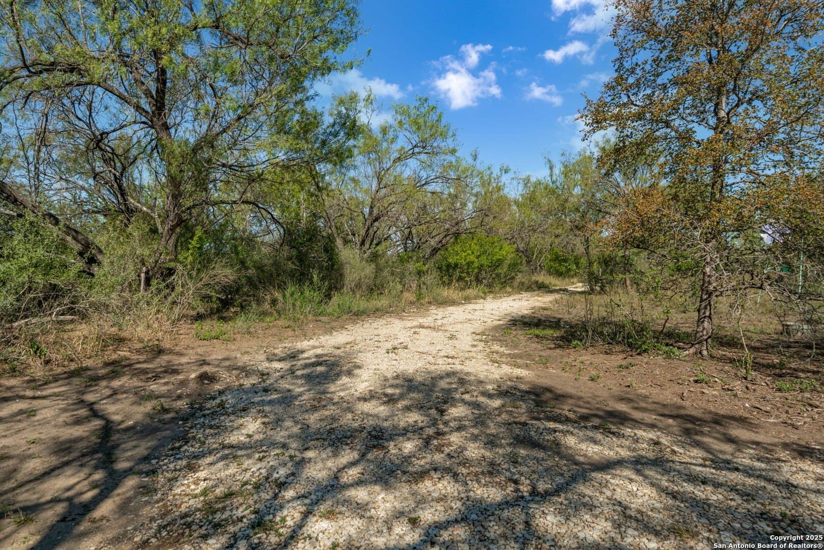 132.7 acres in Bexar County - photo 29
