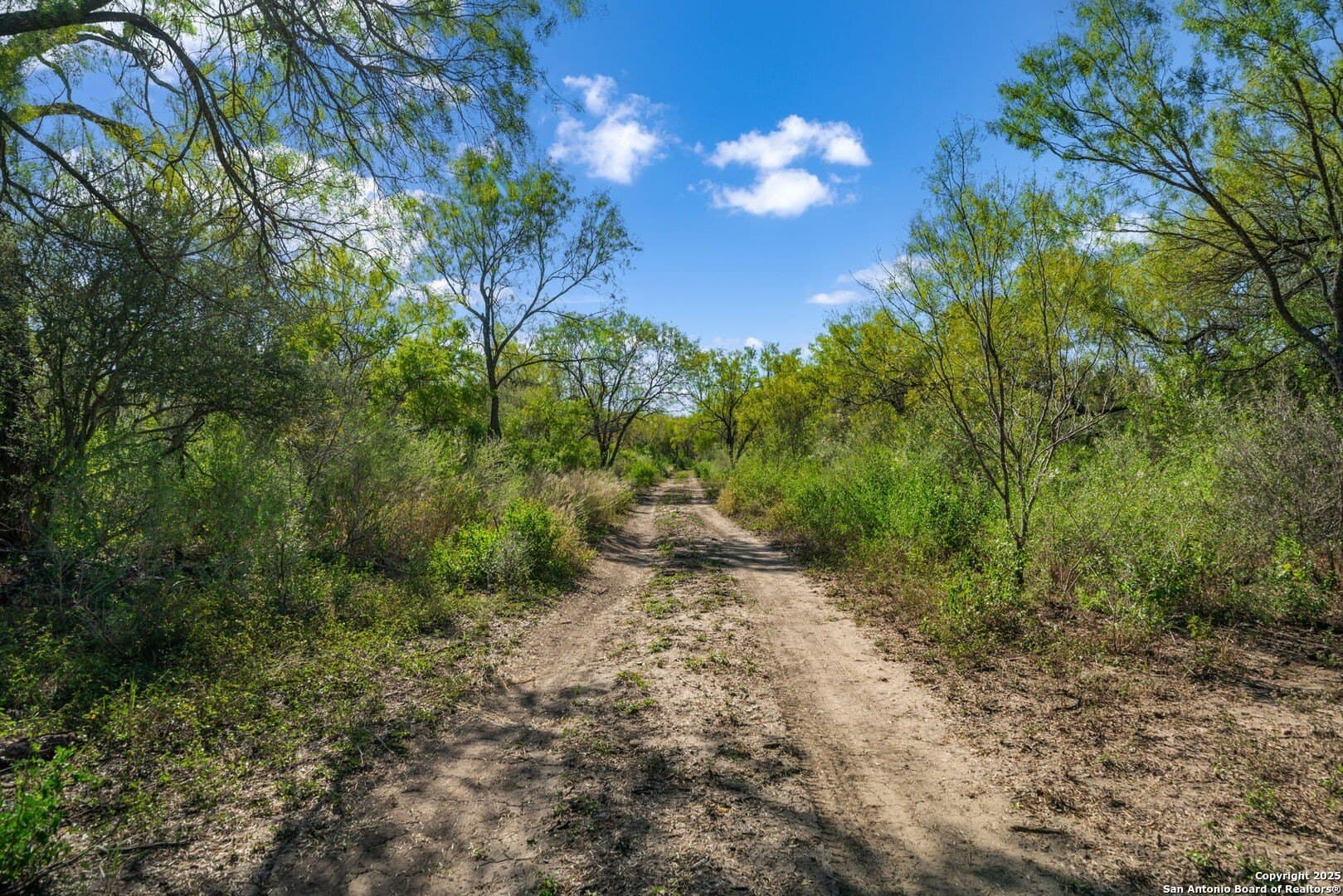 132.7 acres in Bexar County - photo 27