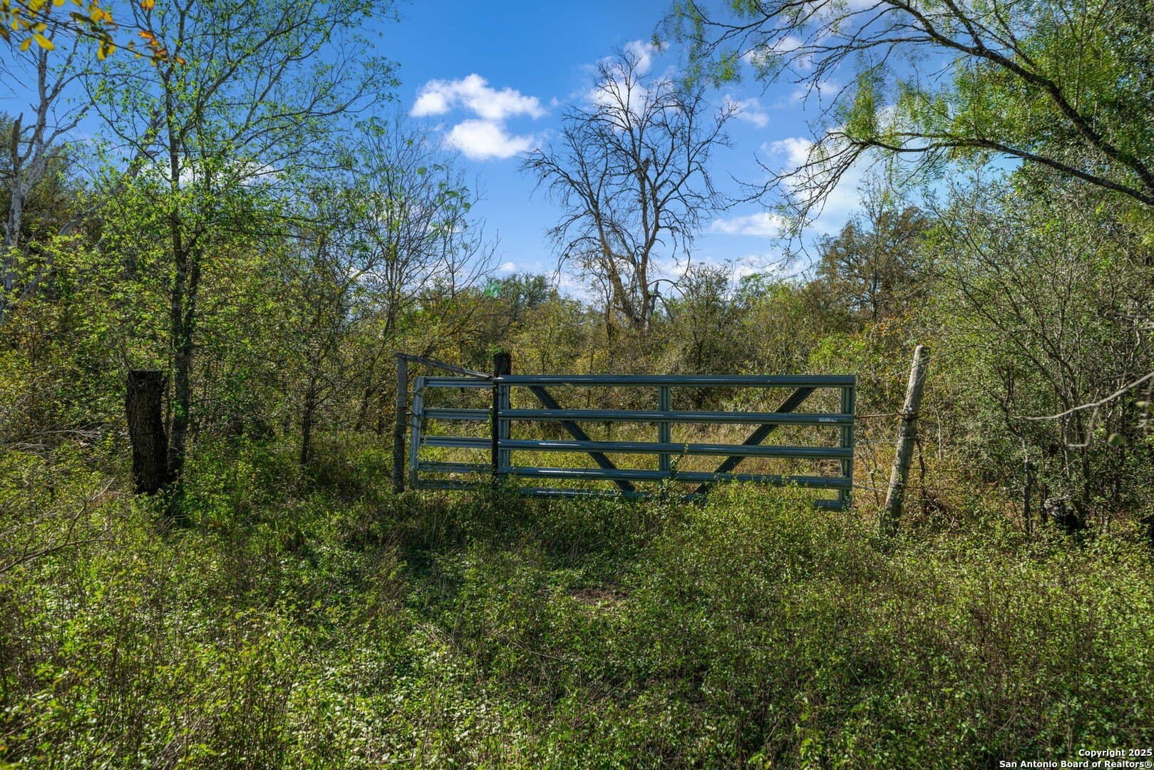 132.7 acres in Bexar County - photo 38