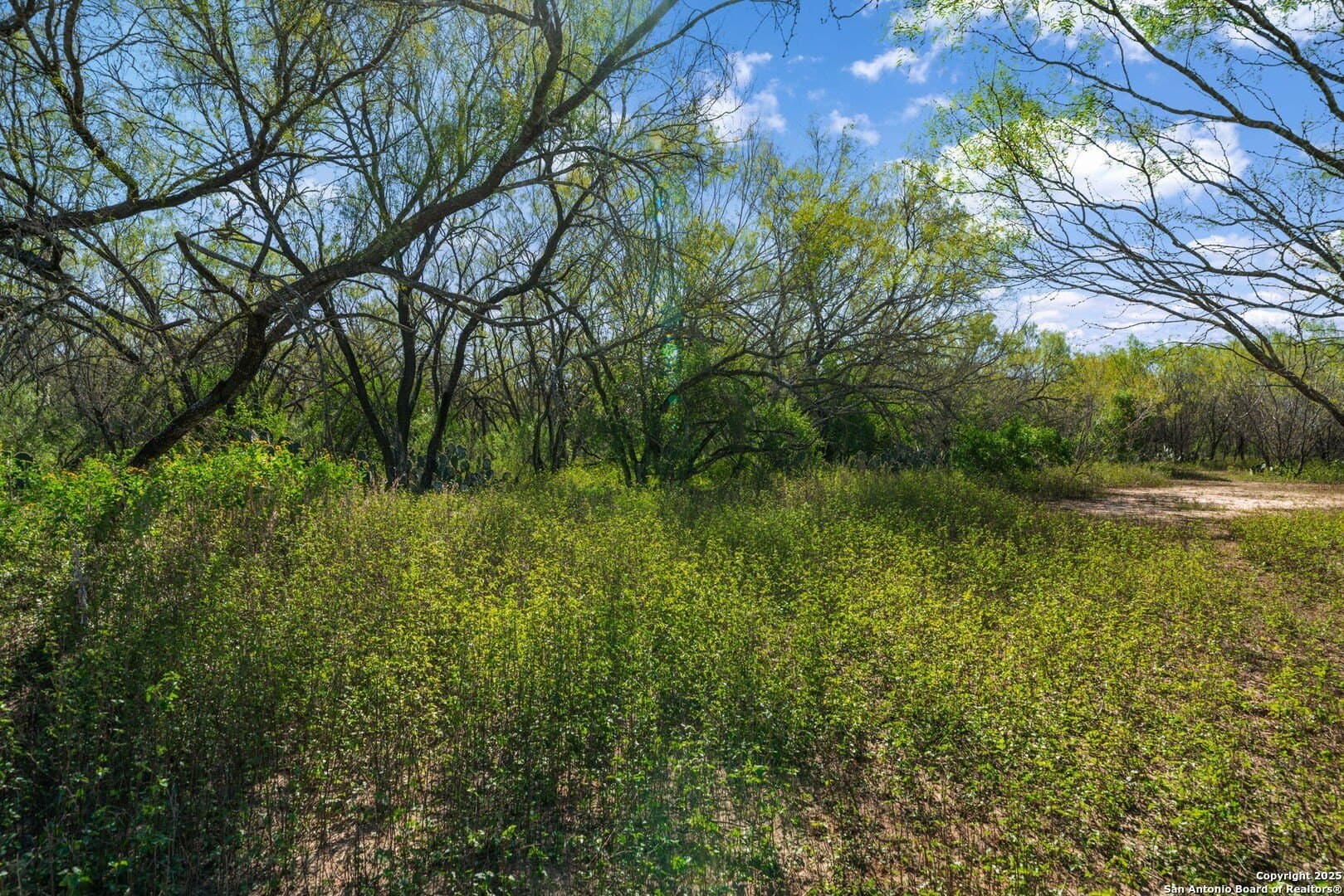 132.7 acres in Bexar County - photo 41