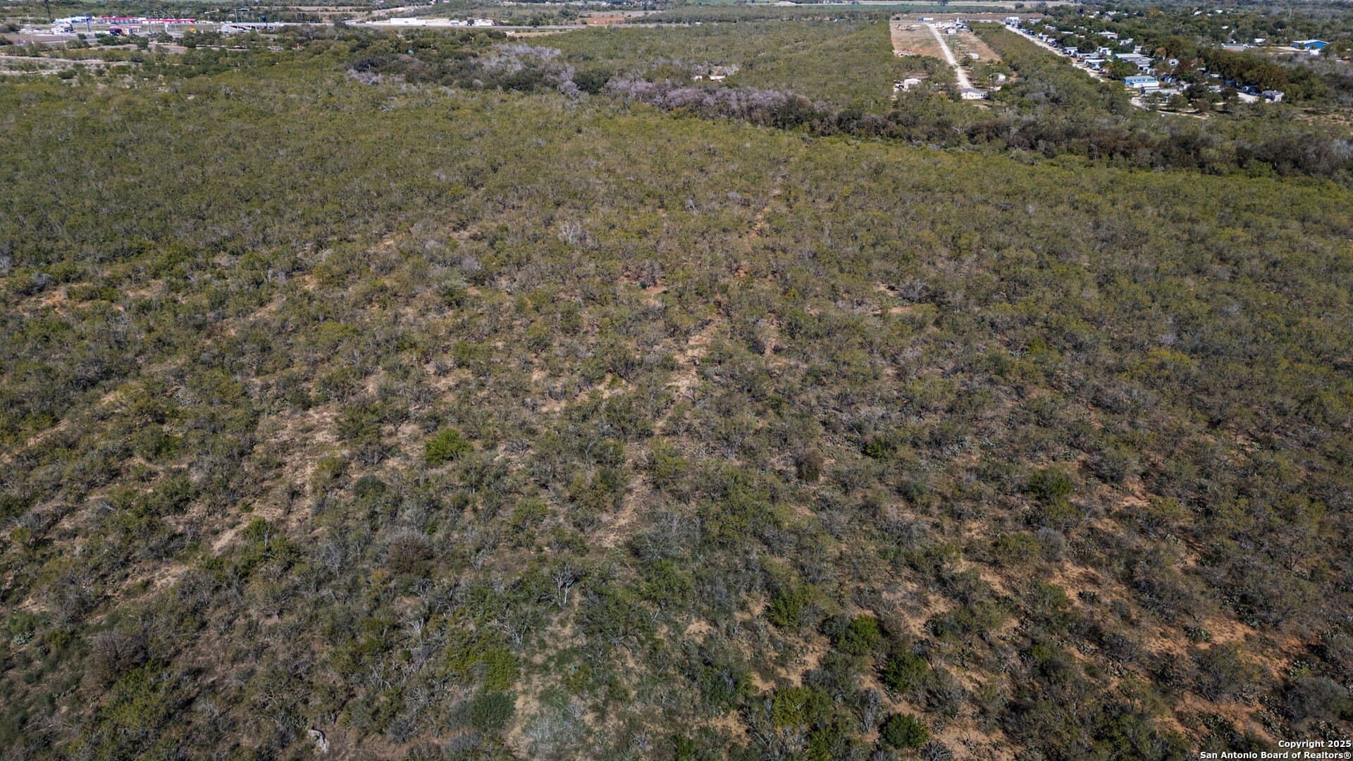 132.7 acres in Bexar County - photo 13