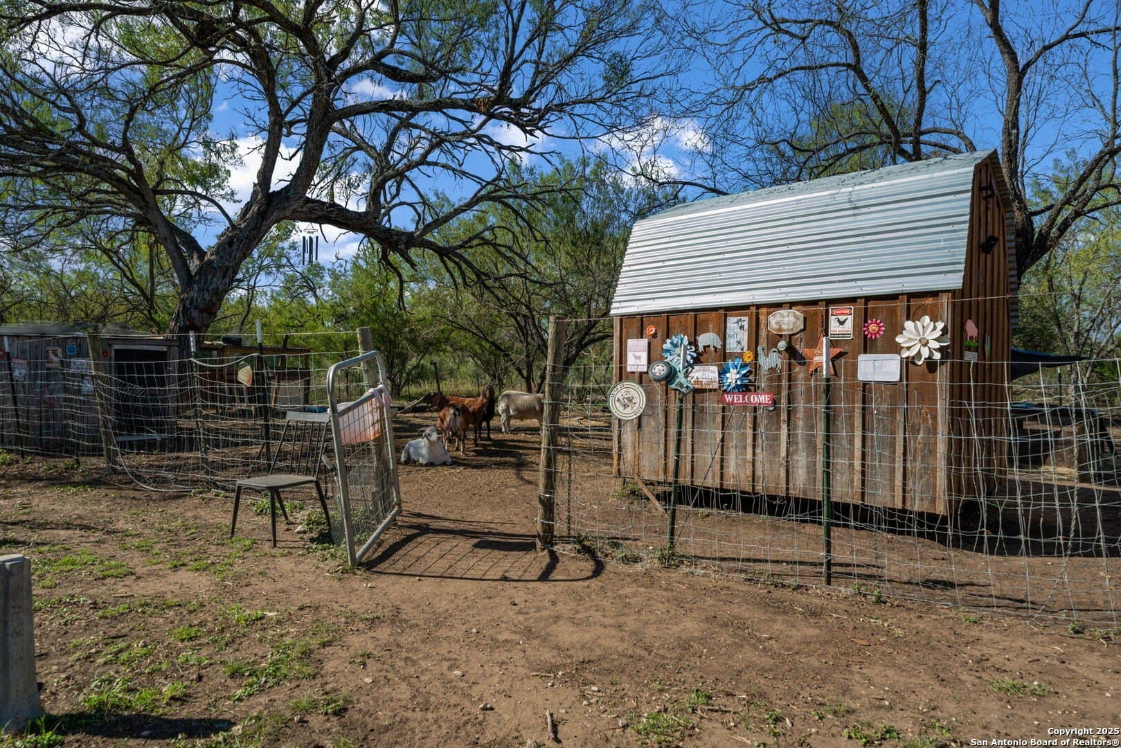 132.7 acres in Bexar County - photo 25