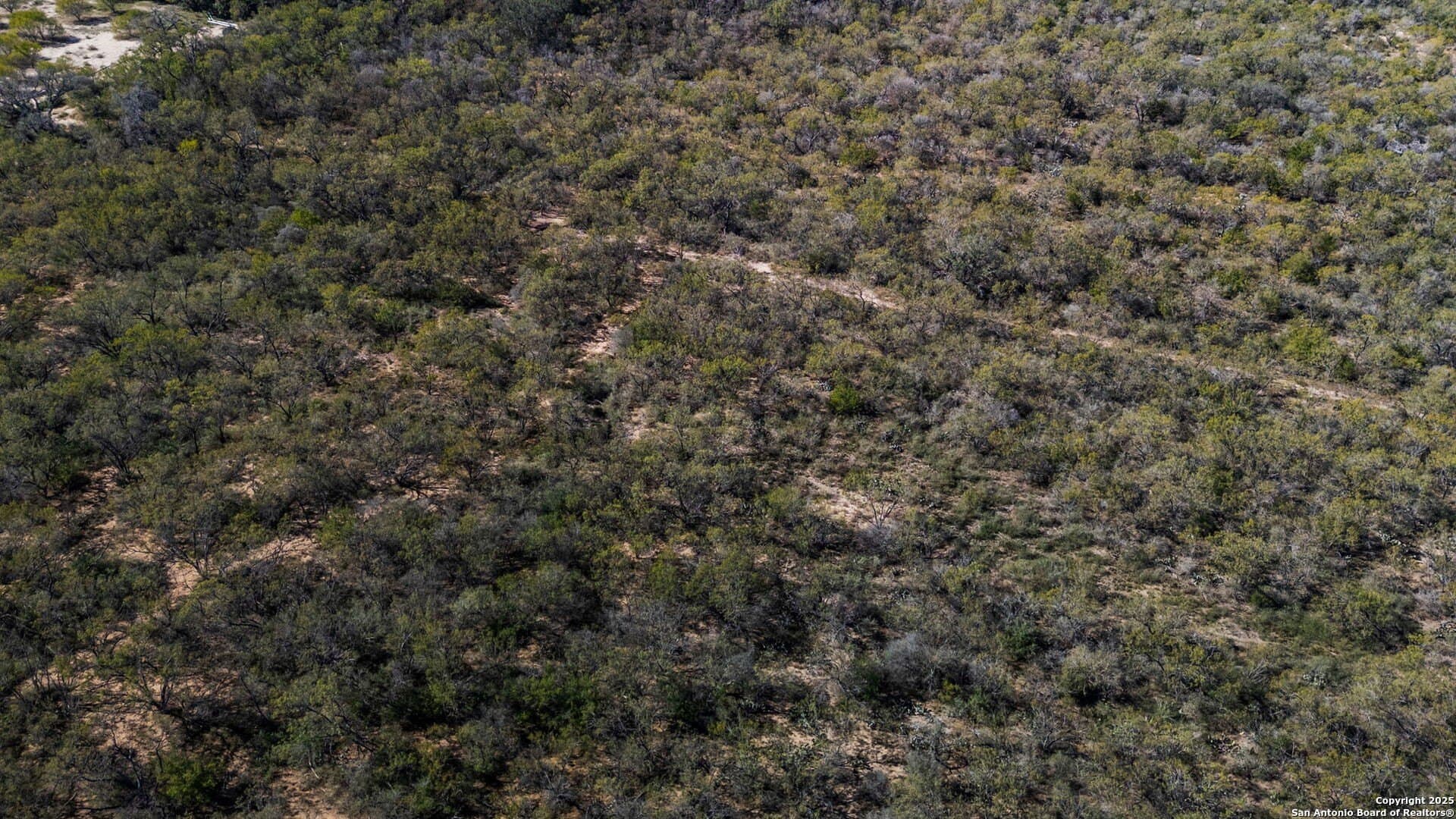 132.7 acres in Bexar County - photo 11