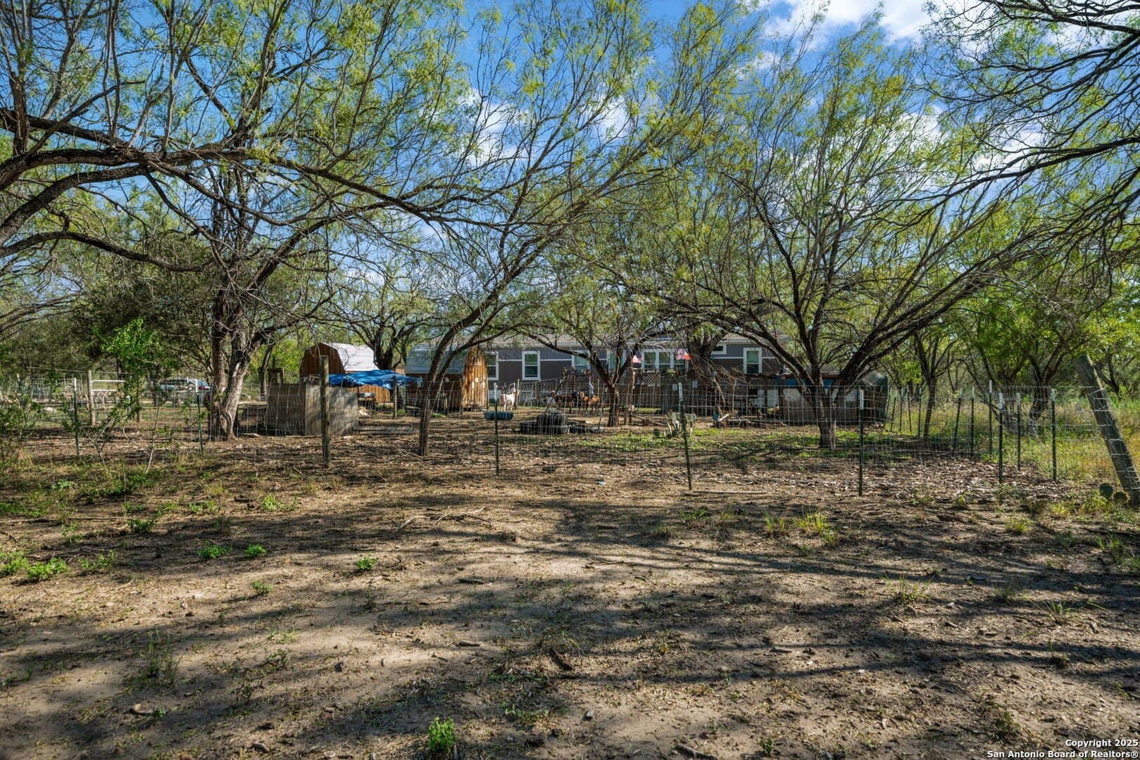132.7 acres in Bexar County - photo 28