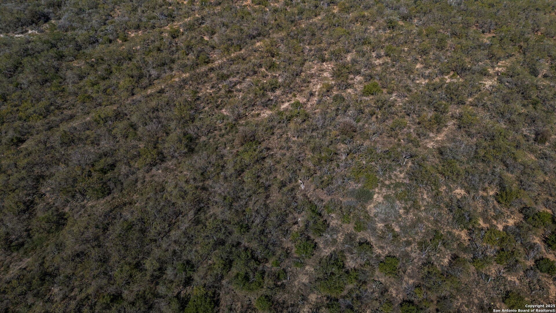 132.7 acres in Bexar County - photo 12