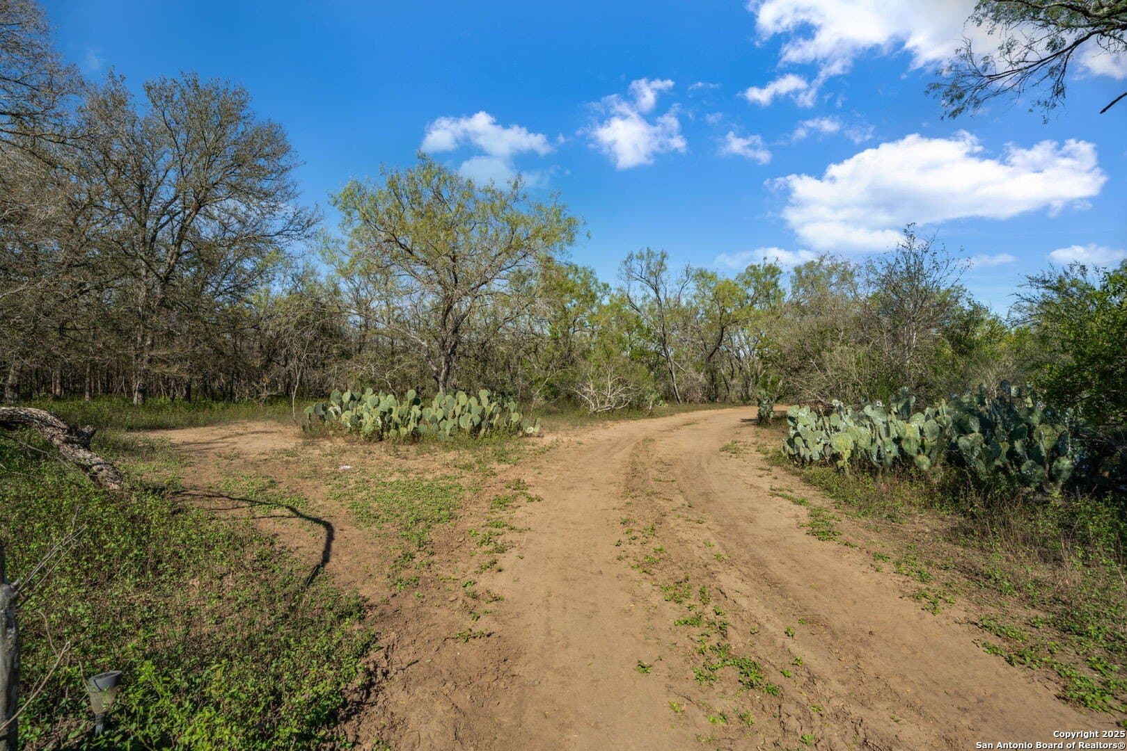 132.7 acres in Bexar County - photo 37