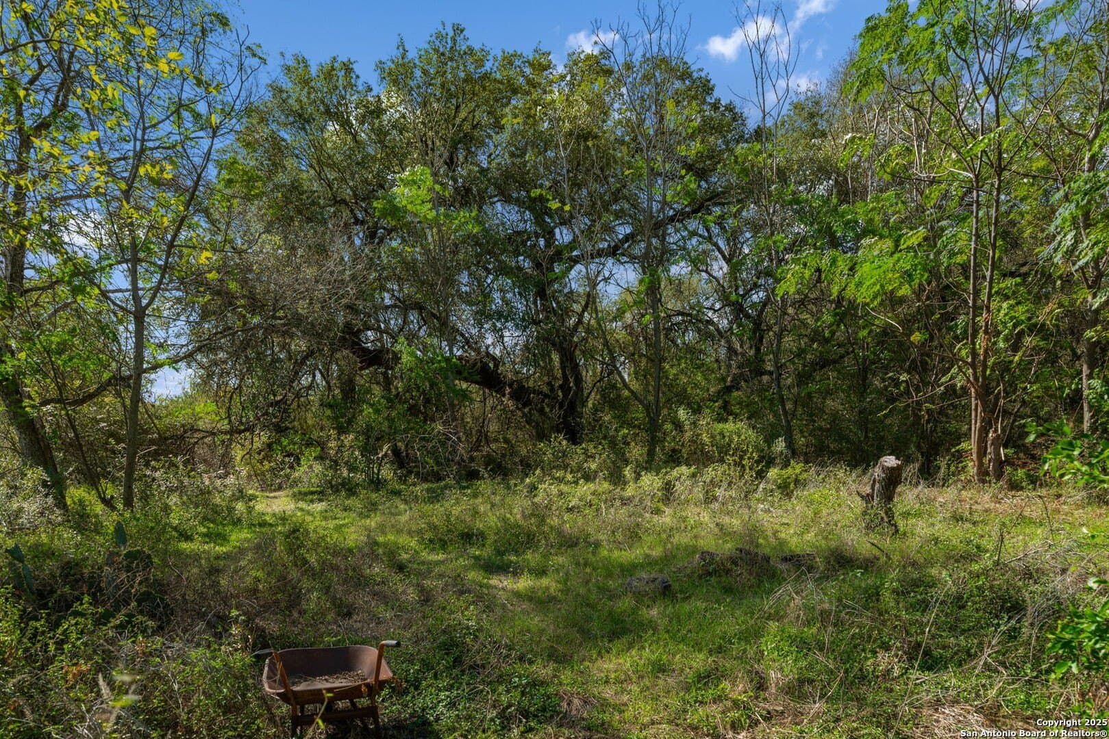 132.7 acres in Bexar County - photo 40