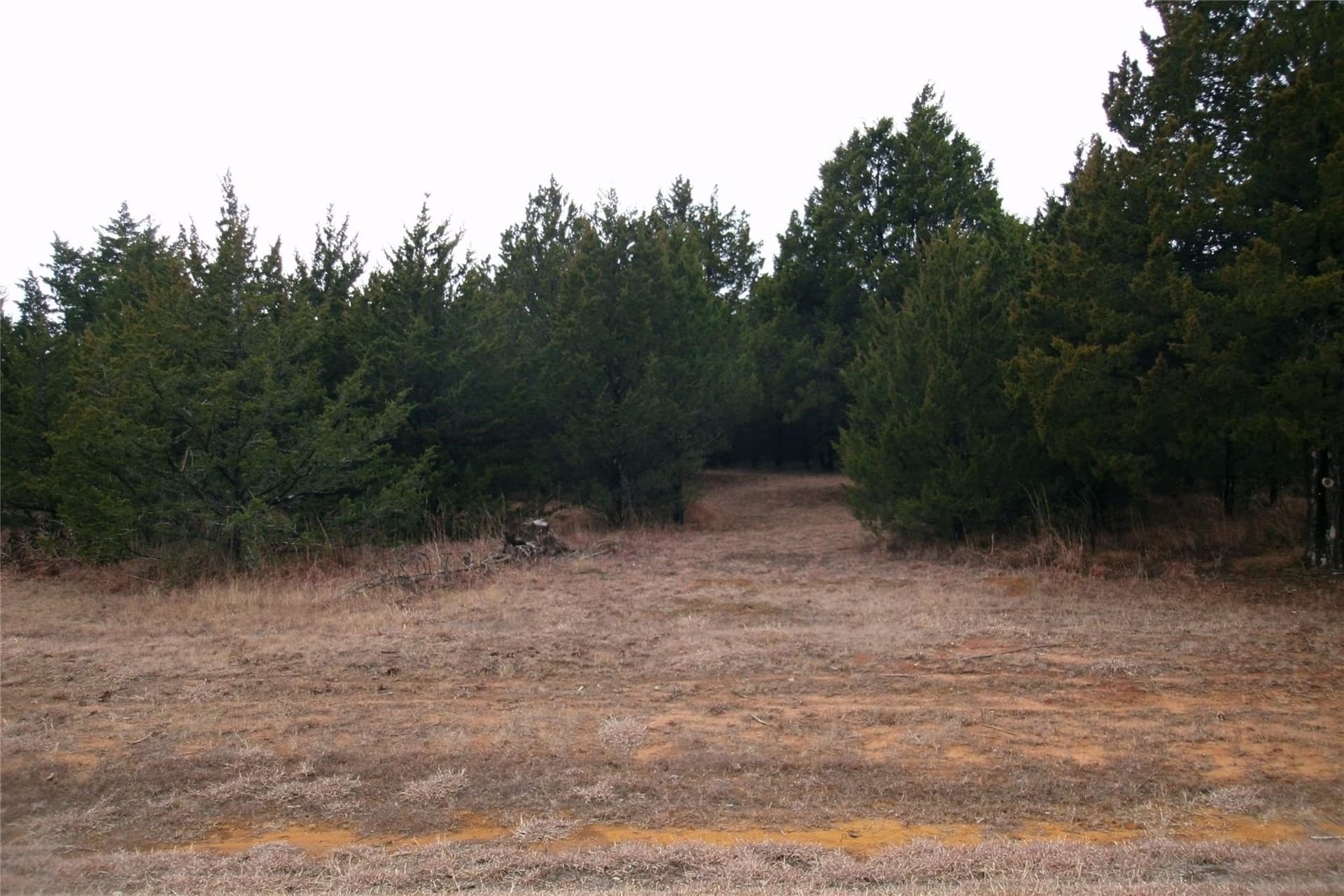 0.3 acres in Grayson County - photo 2