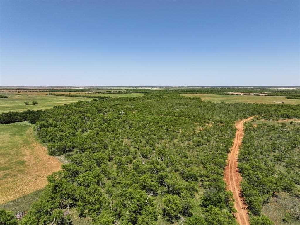 10.01 acres in Jones County gallery image 4