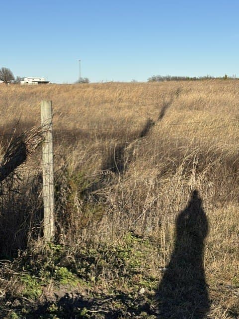 4.83 acres in Collin County gallery image 4