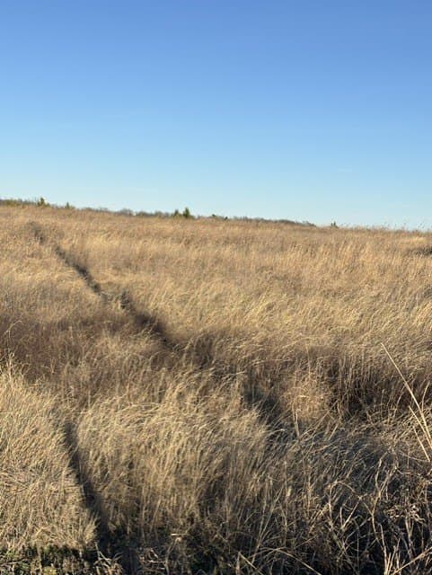 4.83 acres in Collin County - photo 9