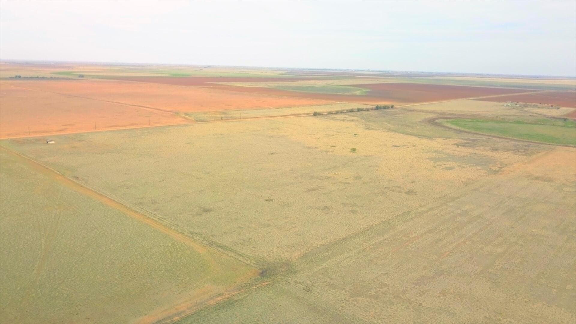 80 acres in Hale County gallery image 3