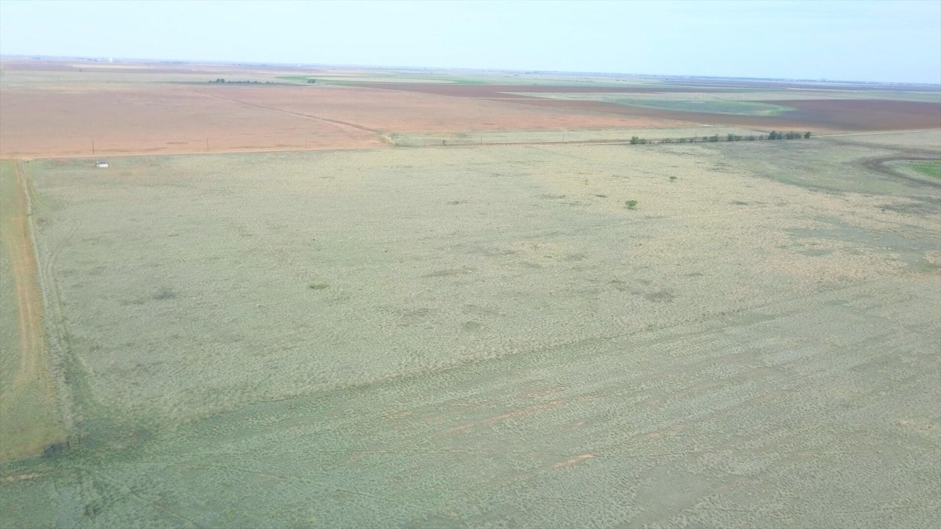 80 acres in Hale County gallery image 4