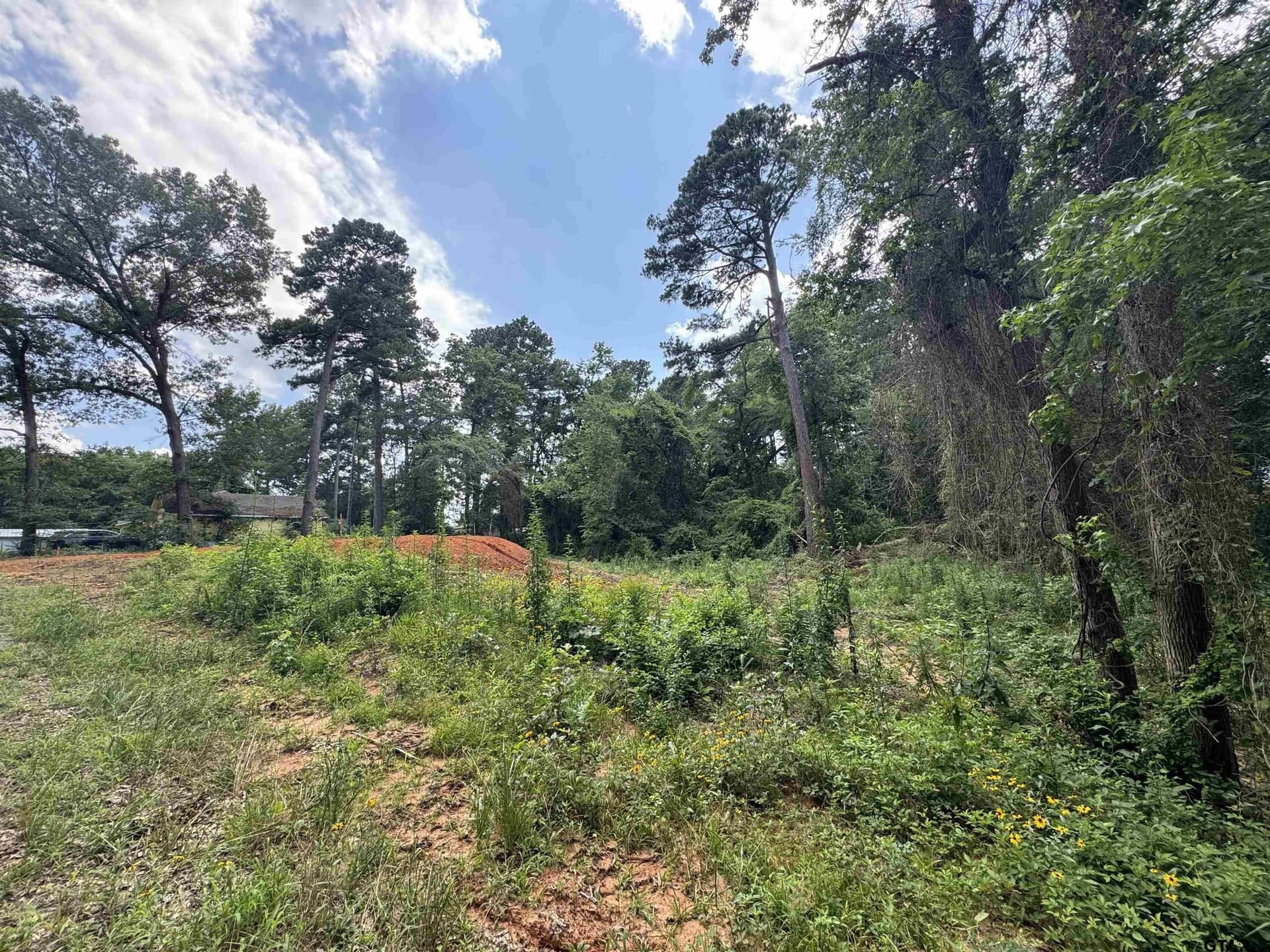 0.26 acres in Wood County gallery image 2