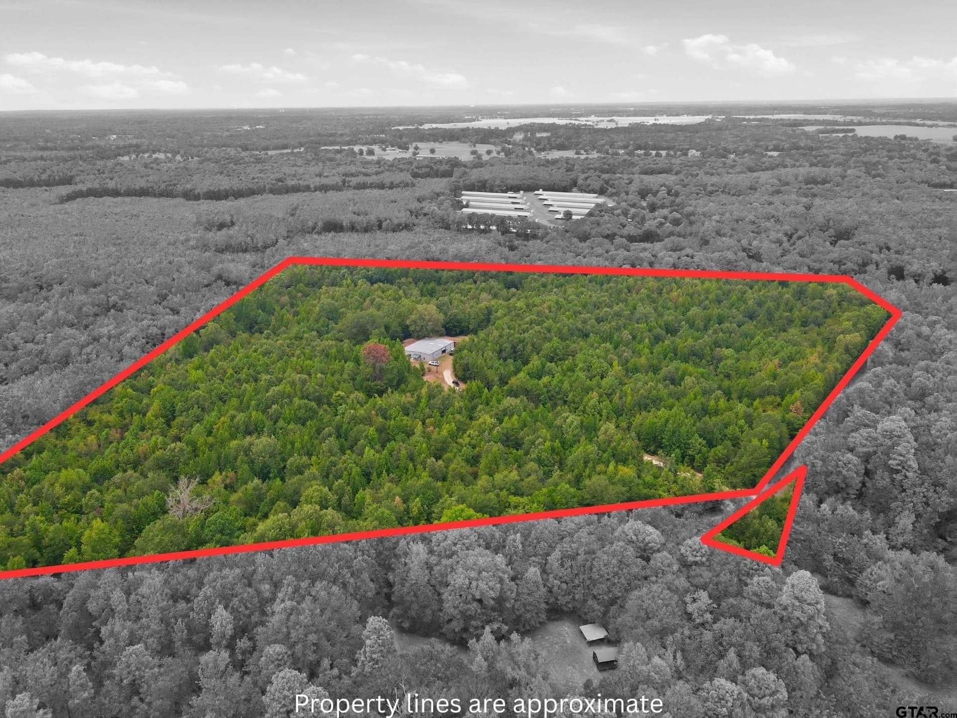 26.24 acres in Camp County - photo 5