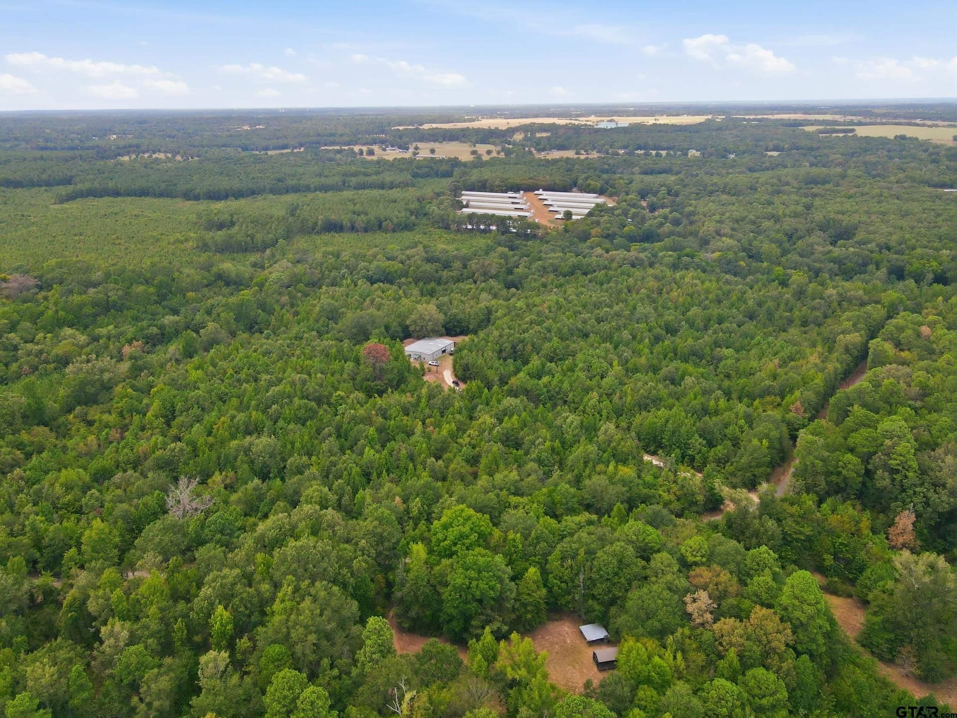 26.24 acres in Camp County - photo 33