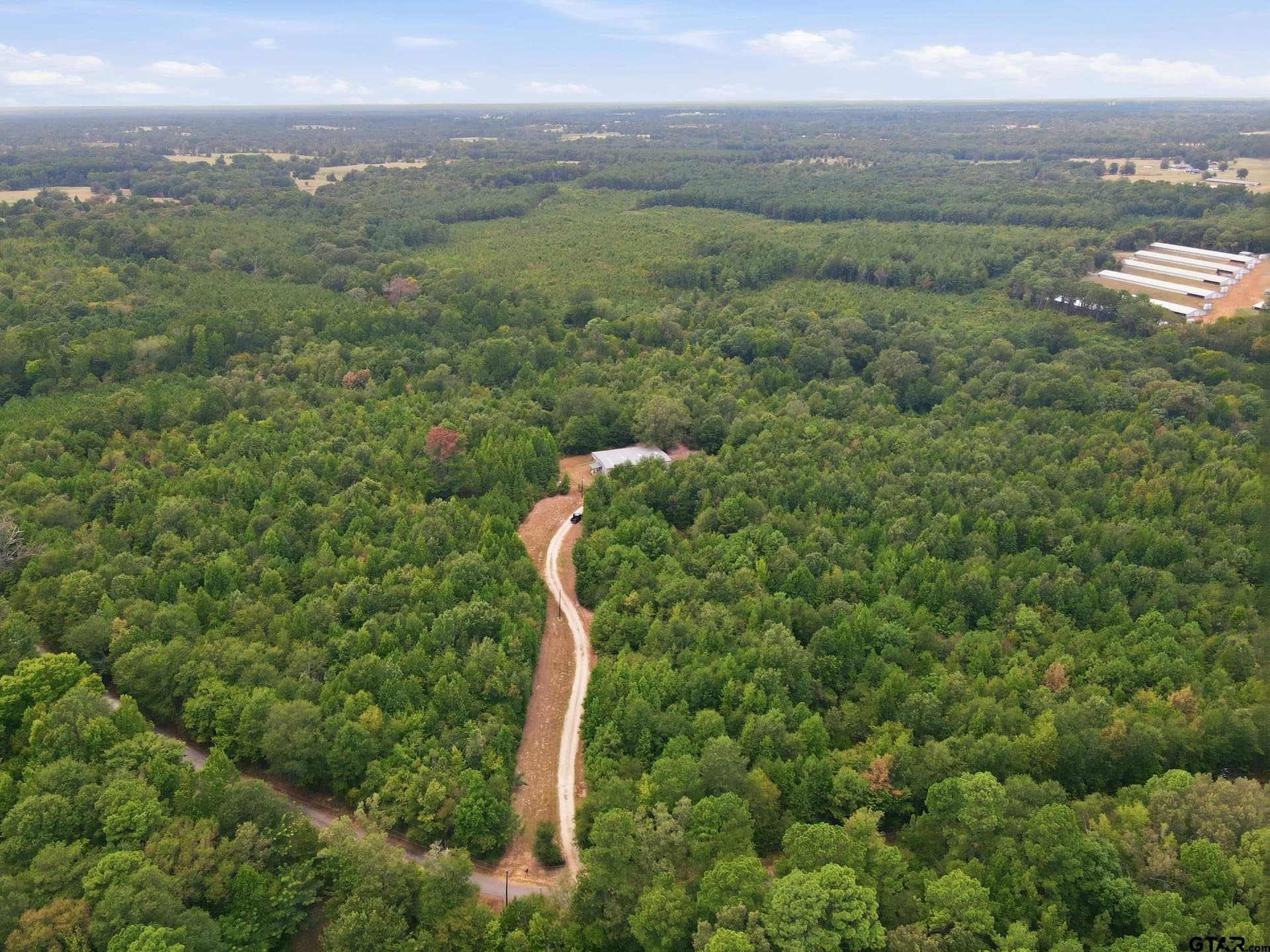 26.24 acres in Camp County - photo 32
