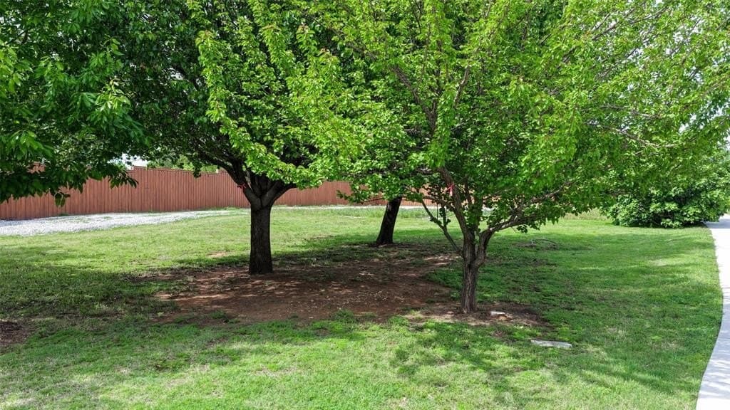 0.74 acres in Tarrant County gallery image 4