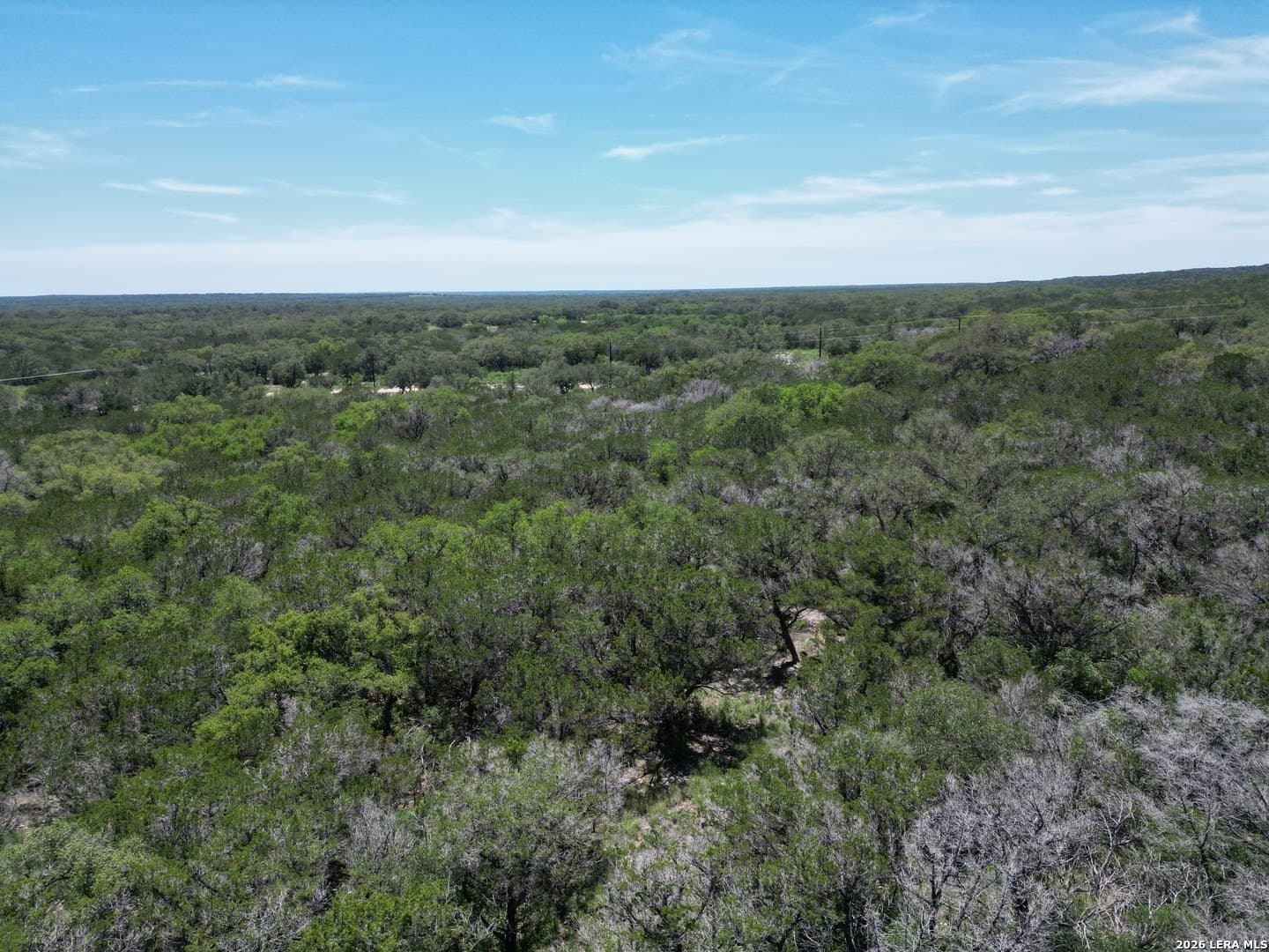 6.01 acres in Medina County - photo 17