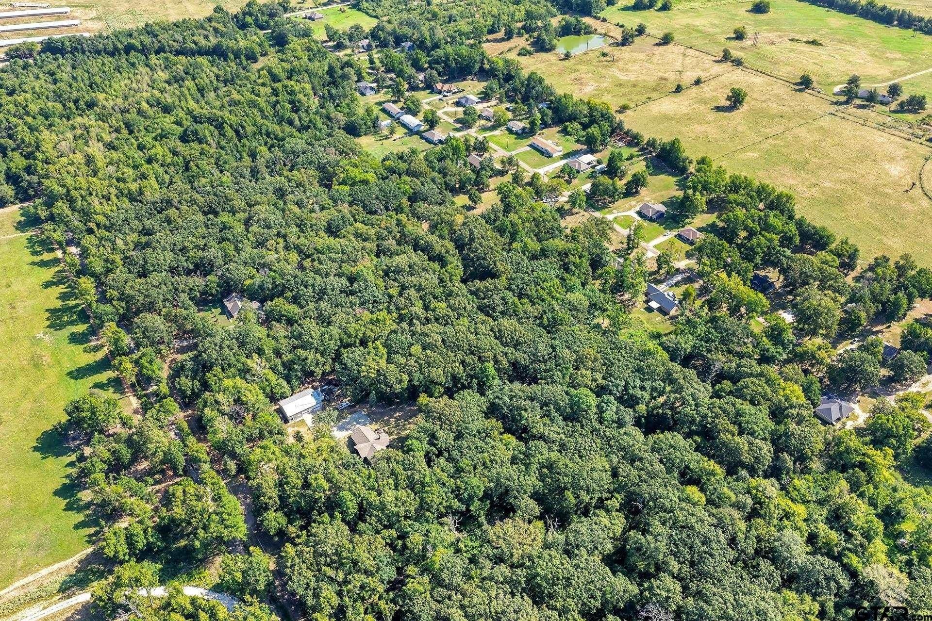0.81 acres in Titus County - photo 10