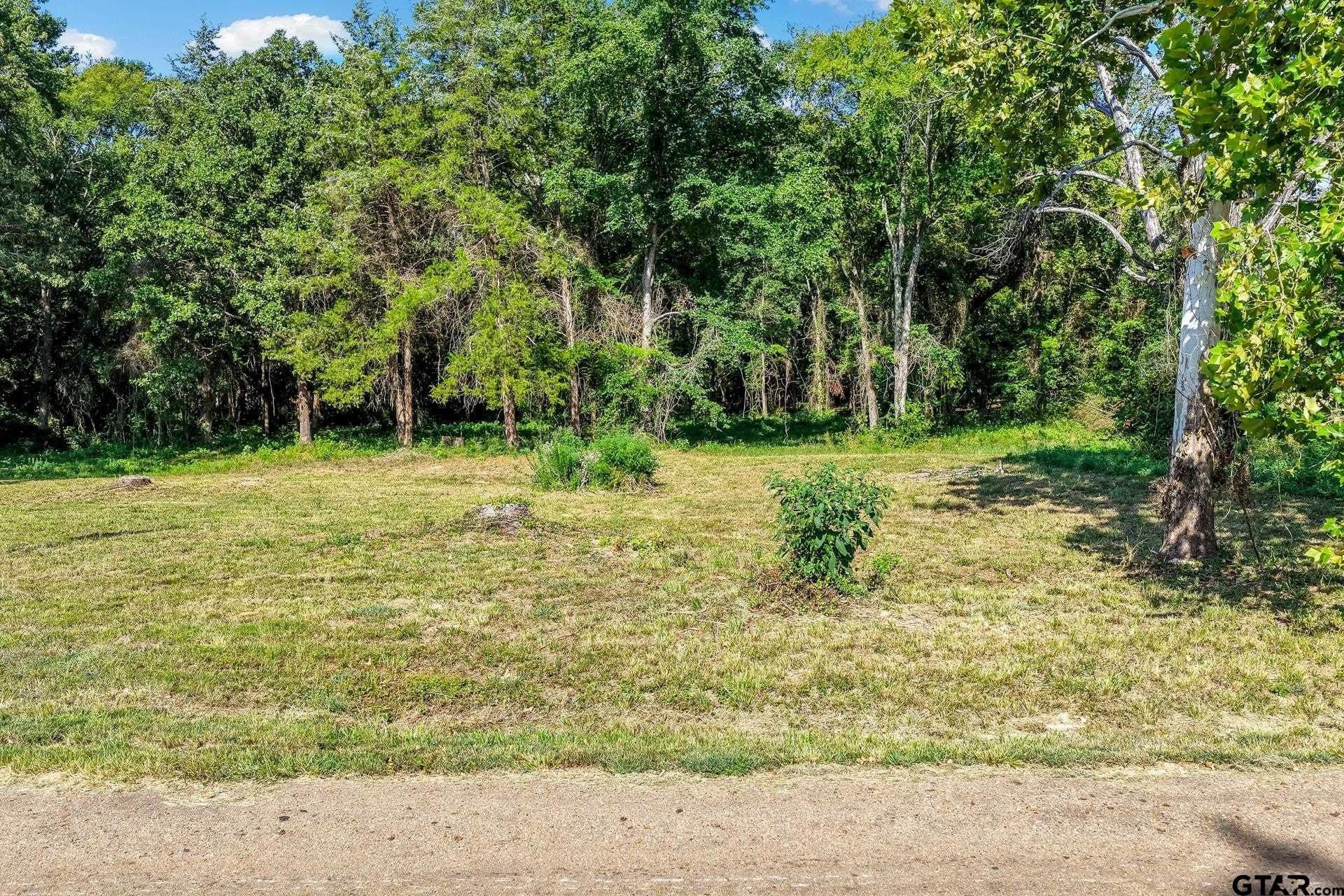 0.81 acres in Titus County - photo 2