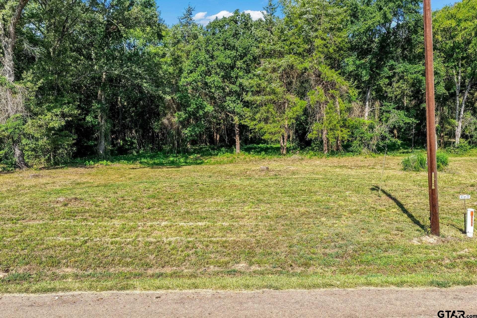 0.81 acres in Titus County - photo 4