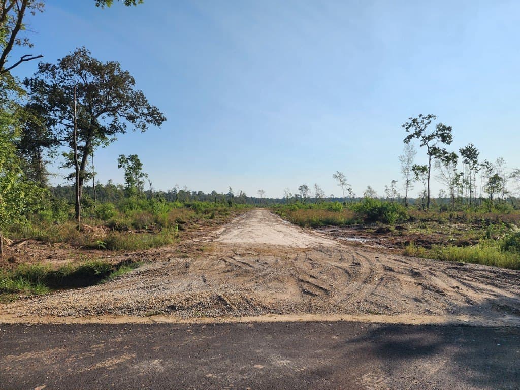 30.23 acres in Texas County featured view