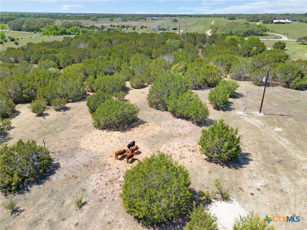 22.46 acres in Burnet County - photo 11