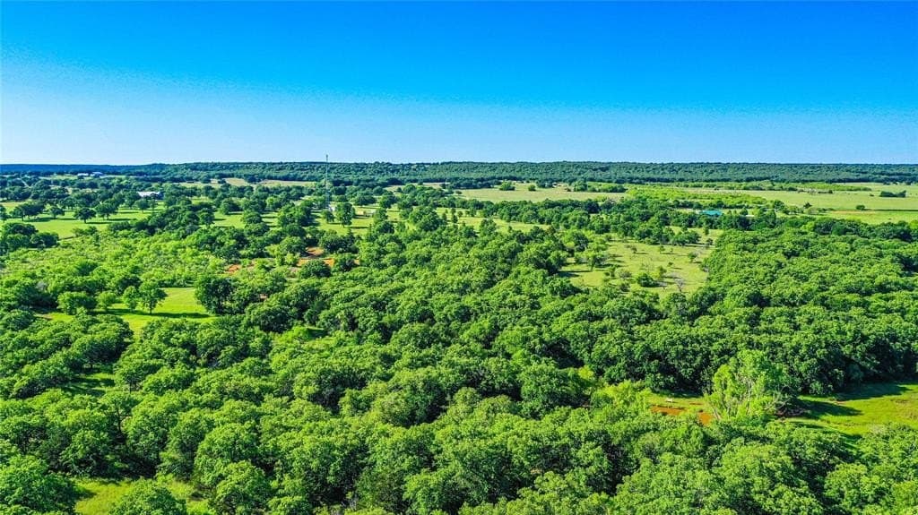 41.5 acres in Clay County gallery image 4