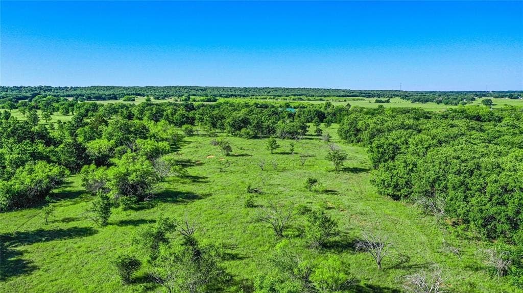 41.5 acres in Clay County gallery image 3