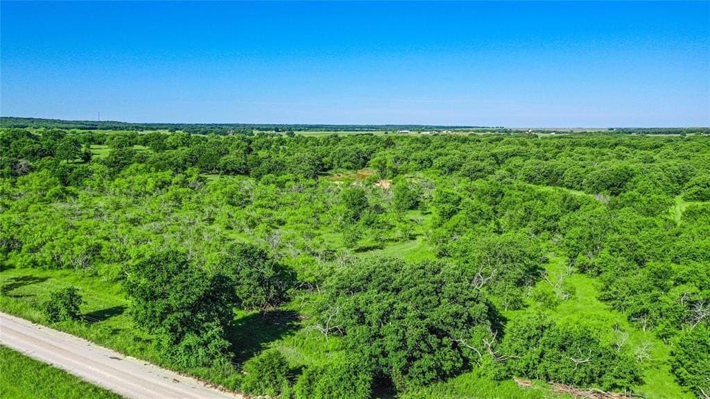 41.5 acres in Clay County gallery image 2